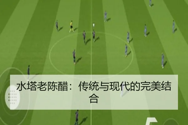 水塔老陈醋：传统与现代的完美结合